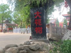 -大槐树寻根祭祖园