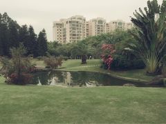 悦华酒店-厦门悦华酒店