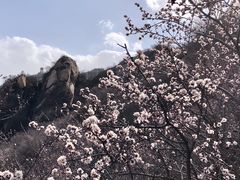 -北京凤凰岭
