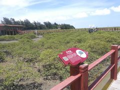 -北海金海湾红树林生态旅游区