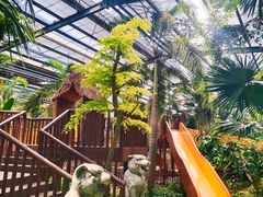 -呀路古热带植物园