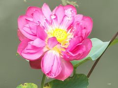 -宁波浙东大竹海景区