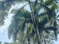 -深圳湾公园(南山区)