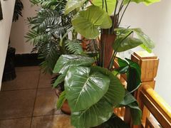 -亮欢寨酸汤鱼(沙冲路店)
