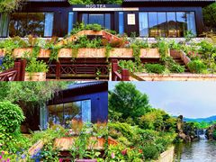 -白马涧龙池景区