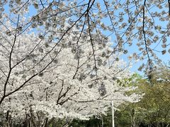 -白塘生态植物园