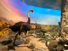 -国家自然博物馆