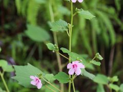 -天芳悦潭度假村温泉
