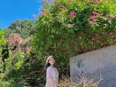 -广州神农草堂中医药博物馆