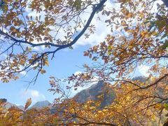 -秦岭风景区