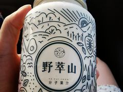 -野萃山·潮汕厚果汁(十亩地店)