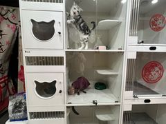 -精灵岛宠物生活馆(洪泽花园店)