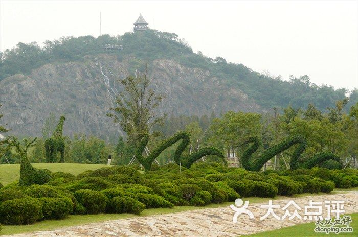 上海辰山植物園花式雕塑圖片 - 第29426張