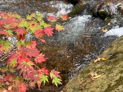 -本溪老边沟风景区