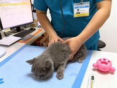 -美联众合动物医院·24h转诊中心