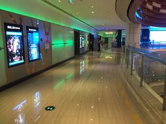 -金逸影城(武汉人信汇IMAX店)
