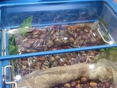 -大桥道食品商店(咸阳路店)