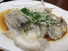 -吴祥记潮州菜·百年老字号·砂锅粥