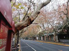 -一尺花园(安和花园店)