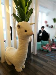 -V Beautique妆颜美学体验馆