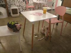 大堂-喵匠猫主题咖啡(凯德和平广场店)