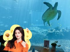 -海棠湾洲际-涛·海底餐厅·美人鱼·自助餐·海底隧道