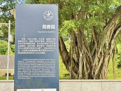 -东莞植物园