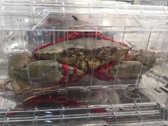 -山姆会员商店(杨桥西路店)