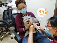 -美联众合动物医院·24h转诊中心