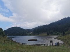 -武陵山森林公园