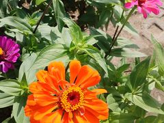 -七欣天香辣蟹火锅(上海银亿滨江店)