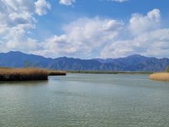 -野鸭湖国家湿地公园