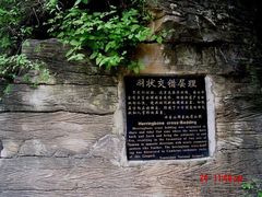 景点-云台山风景名胜区