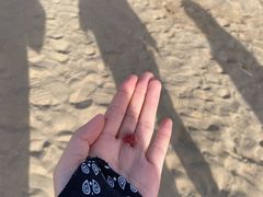 -鸣沙山月牙泉风景名胜区