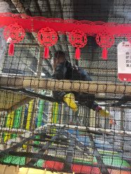 -玩元素·家庭游乐成长中心(香格里拉店)