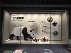 -四川大学博物馆