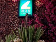 -润泽园椰子鸡(汇一城店)
