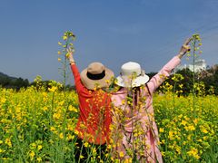 -红山村