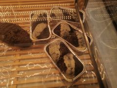 -欧佩拉(工农路店)