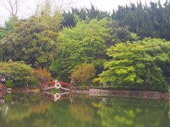 -嘉定紫藤园