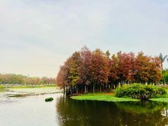 -厦门园林博览苑