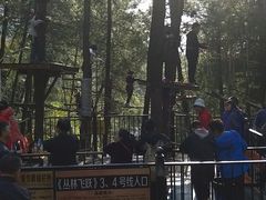 -梦幻奥陶纪景区