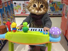 -TOYSRUS玩具反斗城(厦门新生活广场店)