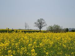 -汉长安城未央宫国家考古遗址公园