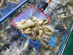 -前王院•巧克力海鲜市集餐厅(万平口店)