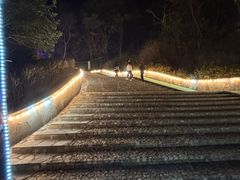 -大塘金香草谷