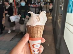 -富豪雪糕车流动点(尖沙咀店)