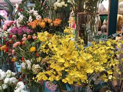 -BoBloom花店(晶耀前滩店)