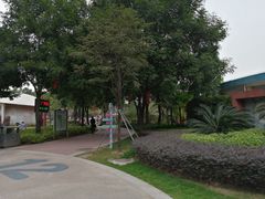-荔湾区儿童公园