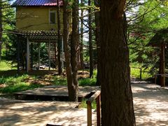 -塞罕坝国家级自然保护区